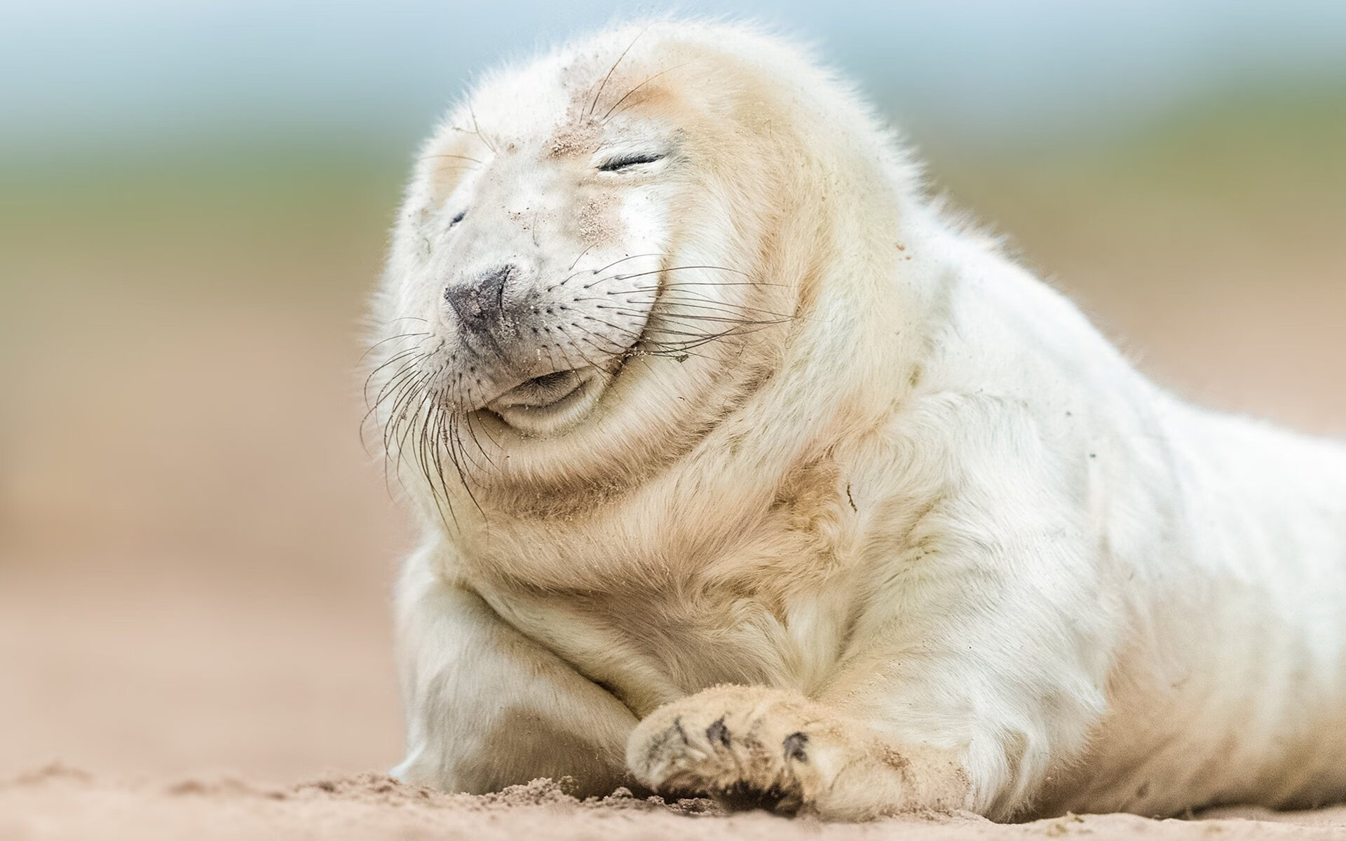 爱游戏官方-NBA最新商业合作发布，联盟收入创纪录，nba商业联盟运作模式