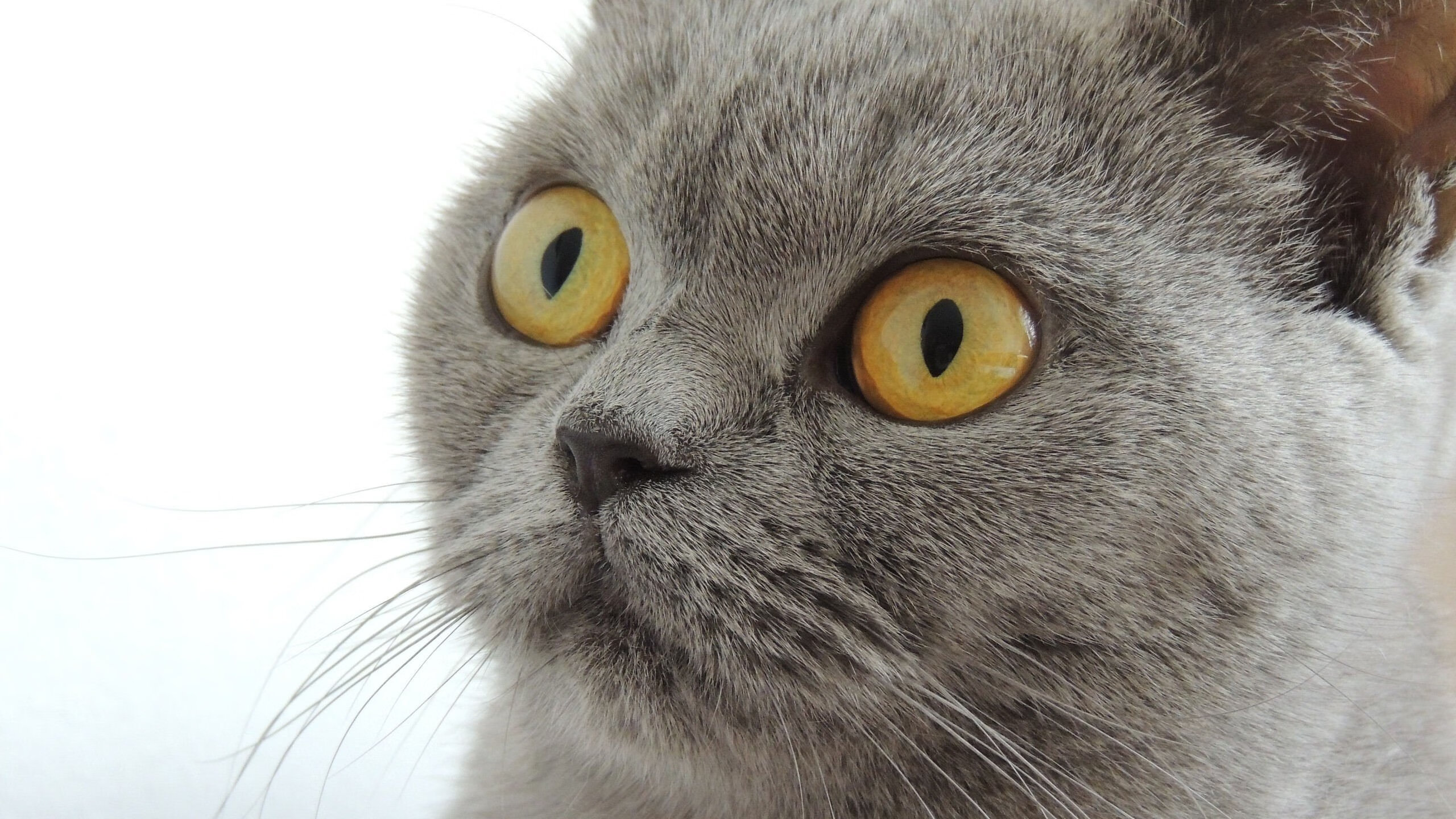 AIYOUXI.COM-_音乐节专属：结合热门音乐现场的互动网球赛_，网球比赛音乐