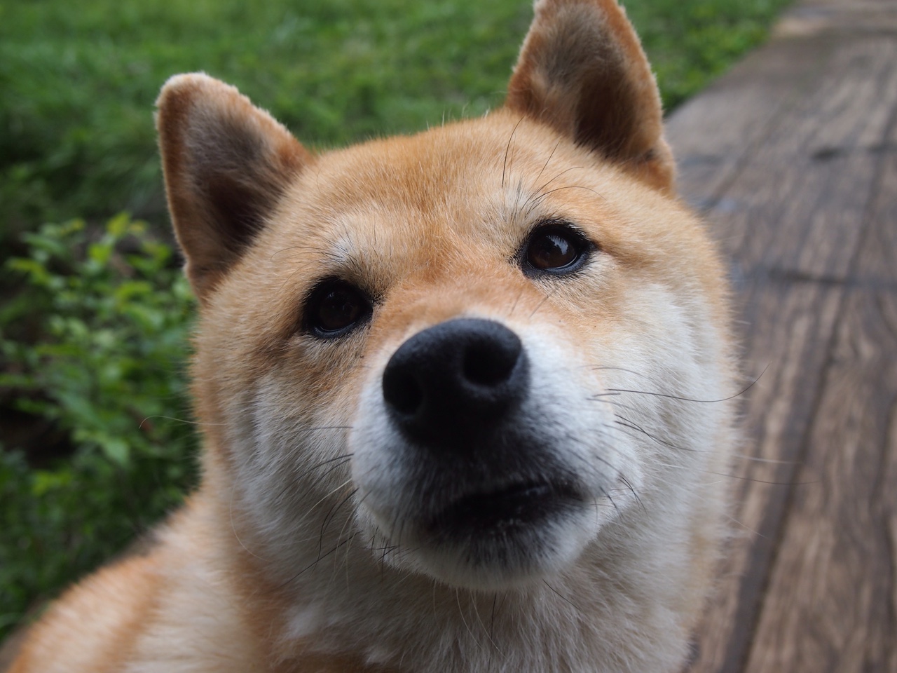 中国足球场馆智能管理系统实现全国联网,管理高效便捷,足球比赛管理系统