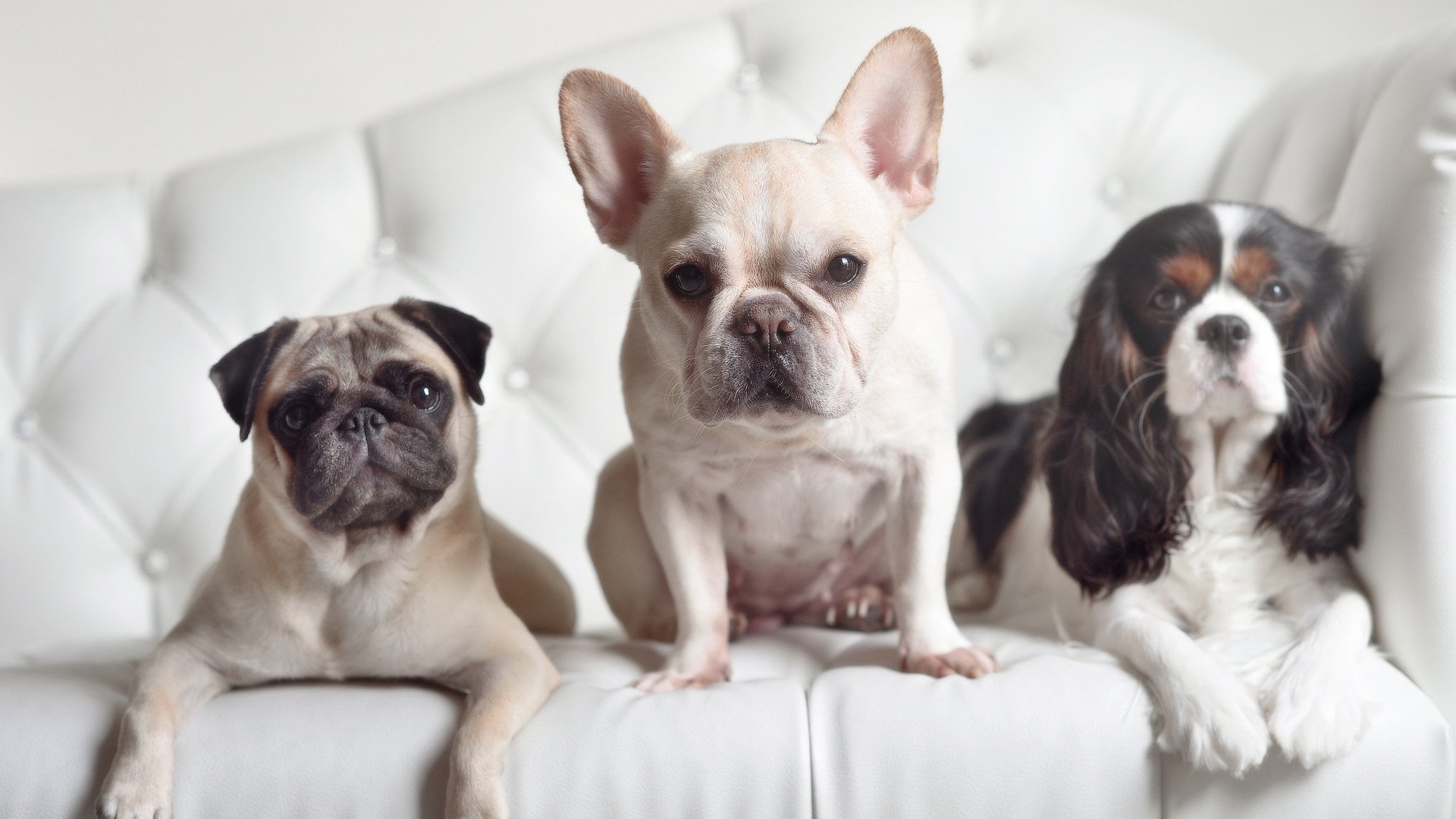 爱游戏综合娱乐-备战秘籍：球队如何应对球员伤缺？，担心球队缺乏深度