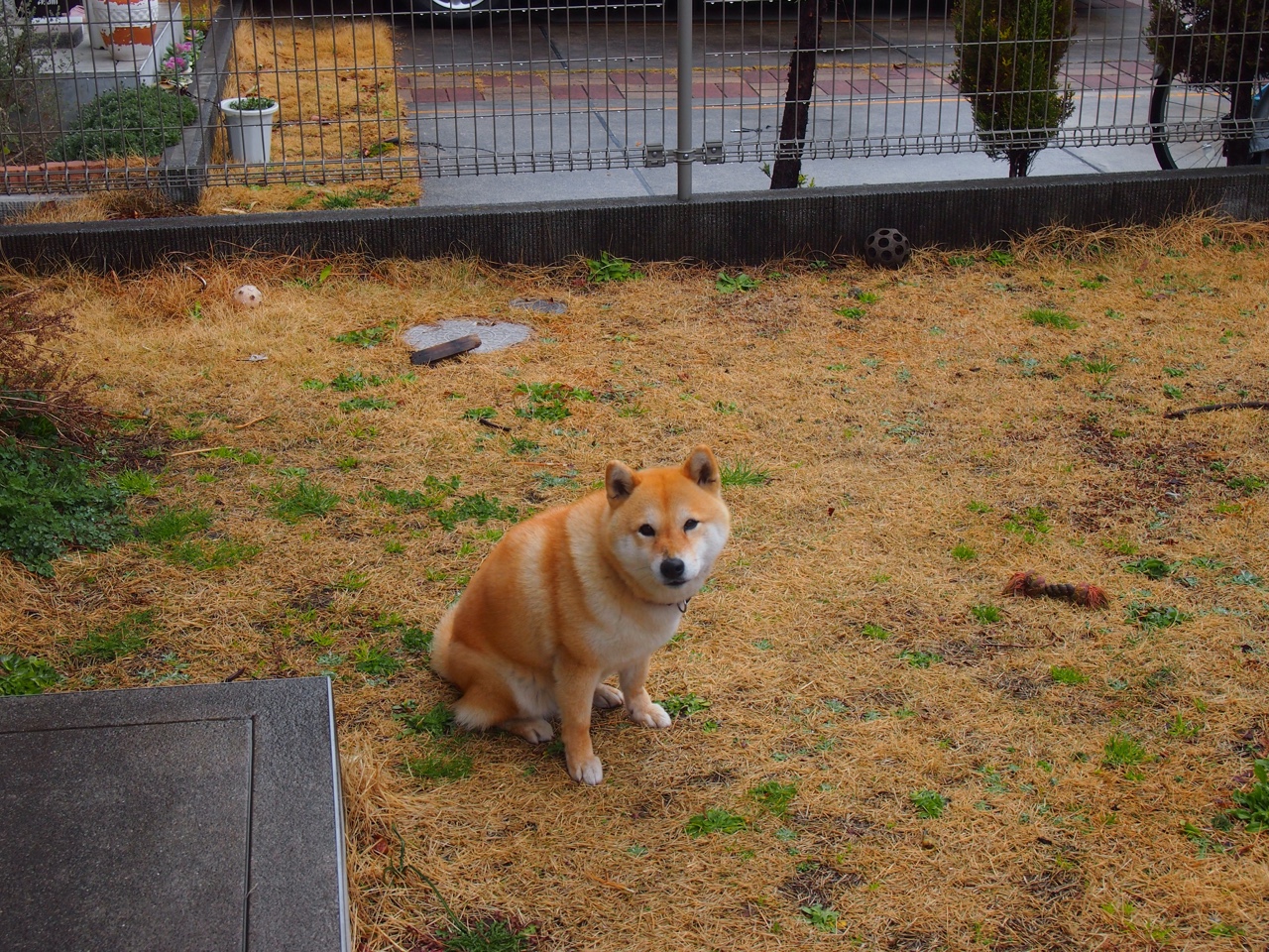 电竞粉丝经济新模式,粉丝团体影响力增强,粉丝经济 电竞
