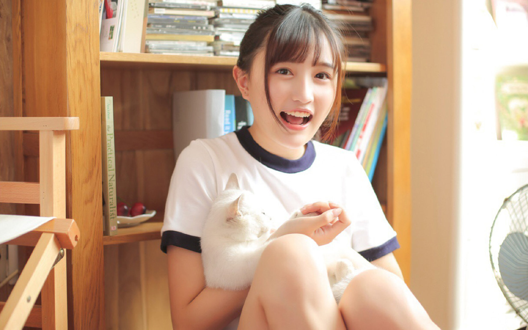 足球场馆智能照明系统实现全覆盖,节能减排显成效,智能化足球场