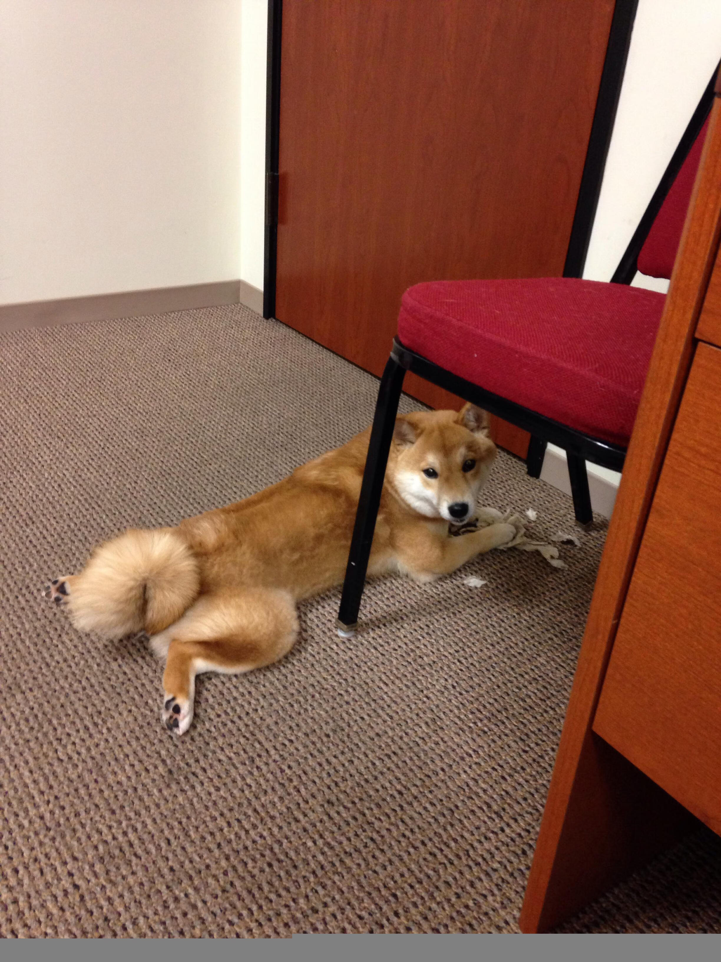 长远布局:排名背后隐藏的战术和转会秘密,长远布局的句子