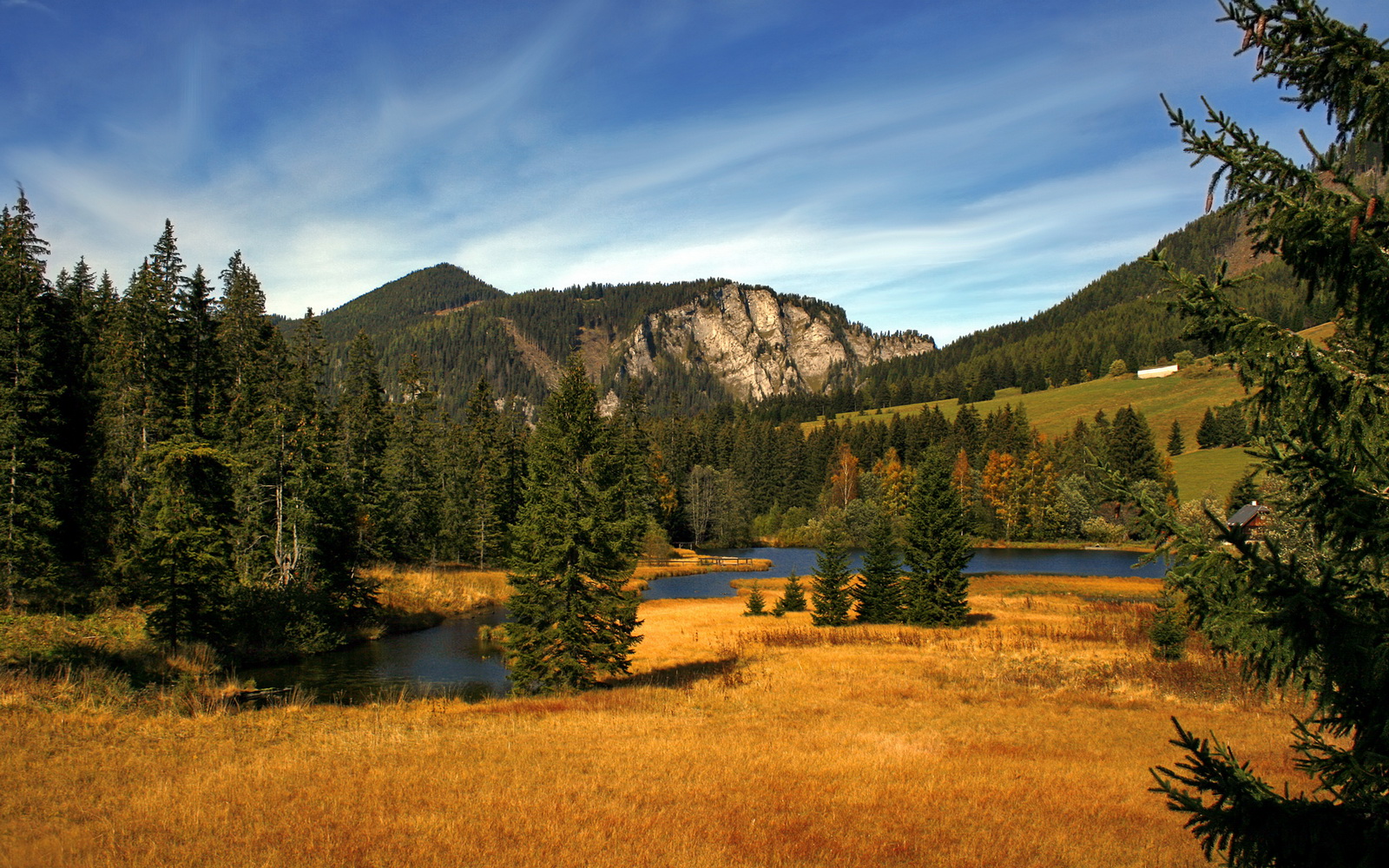“逐梦青少年”篮球挑战赛在四川全面展开,激发青训热情,四川省青少年篮球队