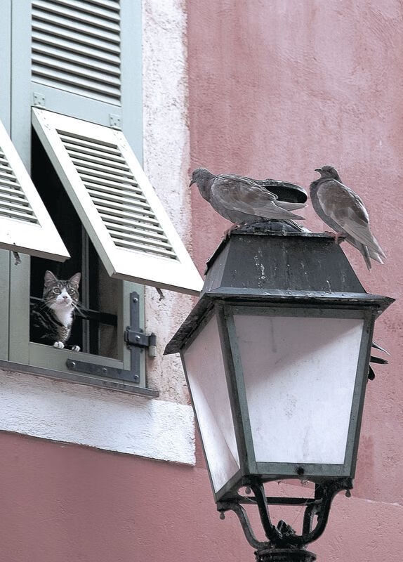 AIYOUXI.COM-“足球文化周在全国多地同步开启，推广足球精神”，足球文化节标语