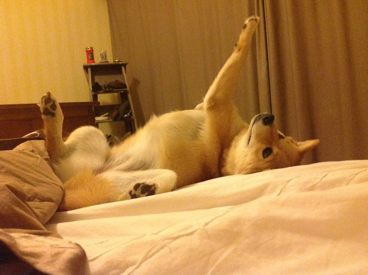 “逆境中的领袖:明星队长的坚韧精神”,明星队队长