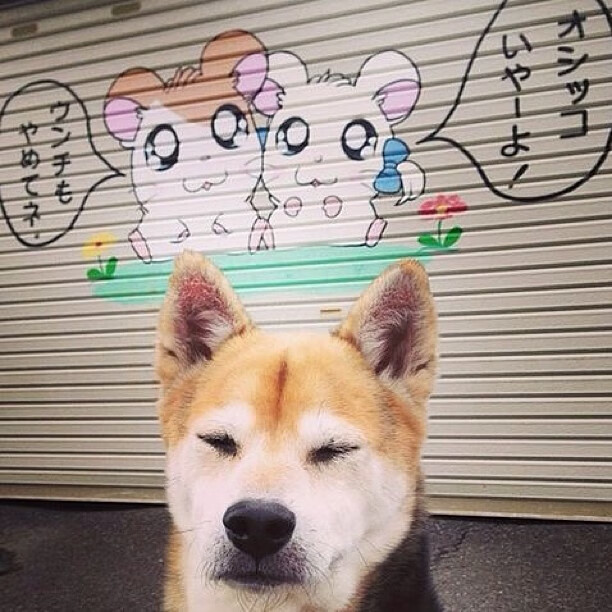 AYX体育官网-《电竞比赛中的心理战策略揭秘》，电竞 心理