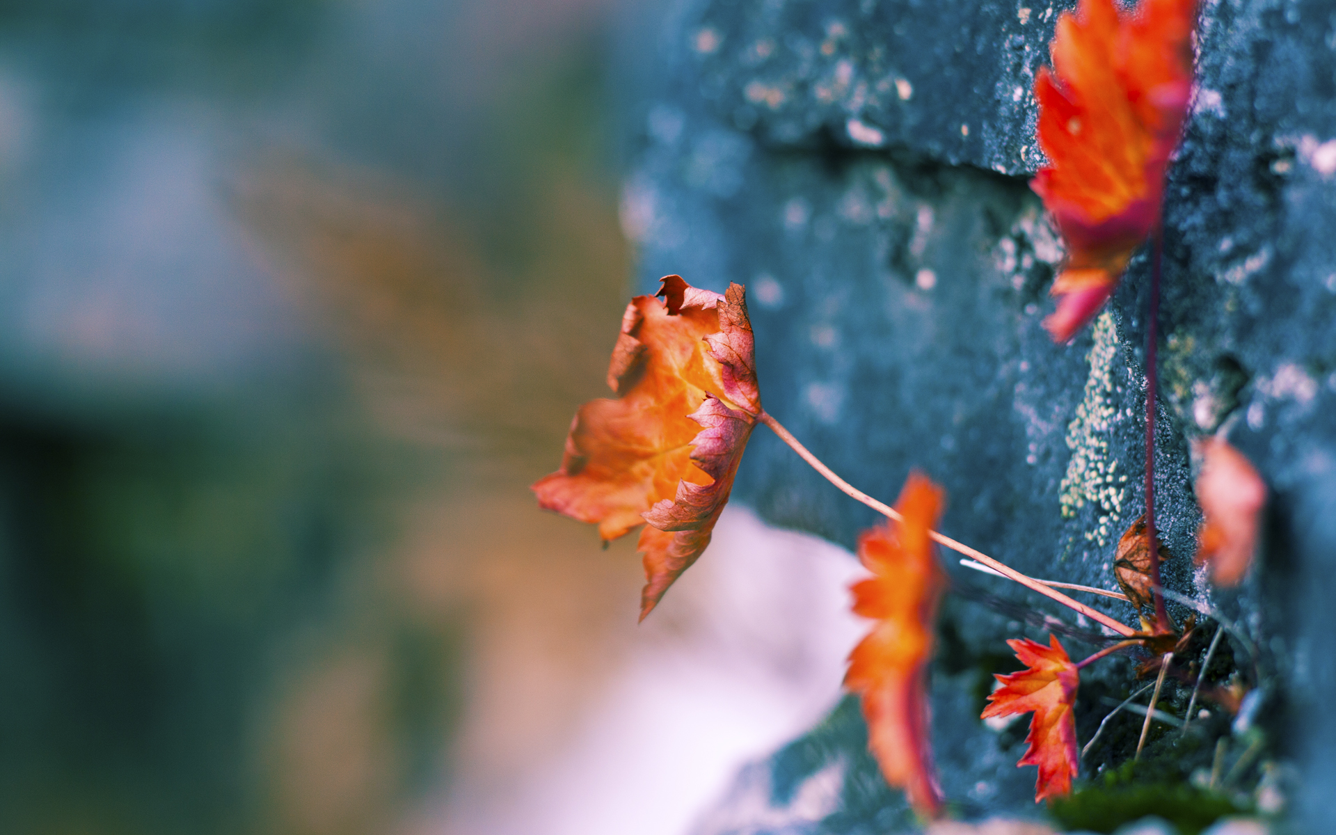 丹麦战队 Heroic 将加强与赞助商的合作关系,丹麦队叫什么