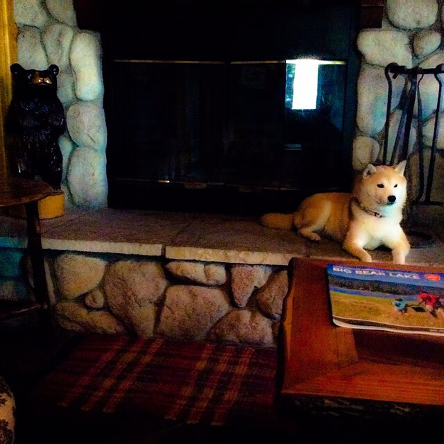 克罗地亚马术协会举办青少年马术交流活动，促进国际友谊。，克罗地亚 马耳他