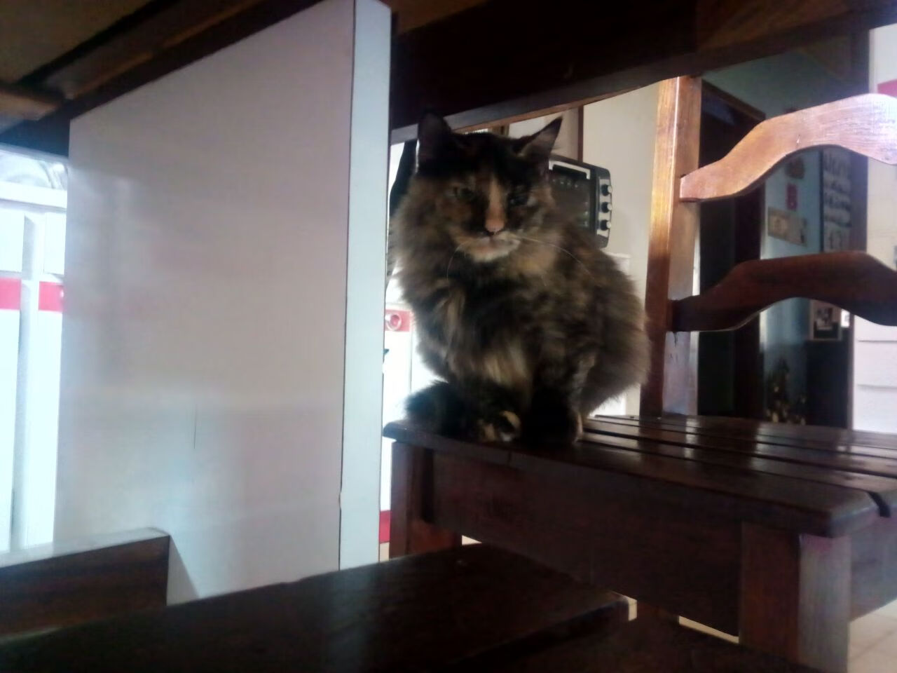 【逆境反击】球队X如何在落后多分的情况下逆转,逆境球生