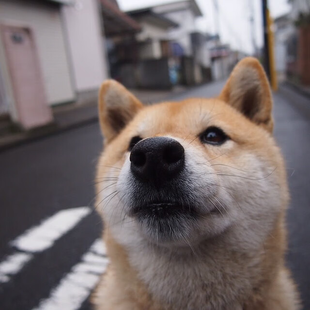 AYX体育官网-前场抢断成功率是否决定比赛胜负走向，前场抢断后运回后场