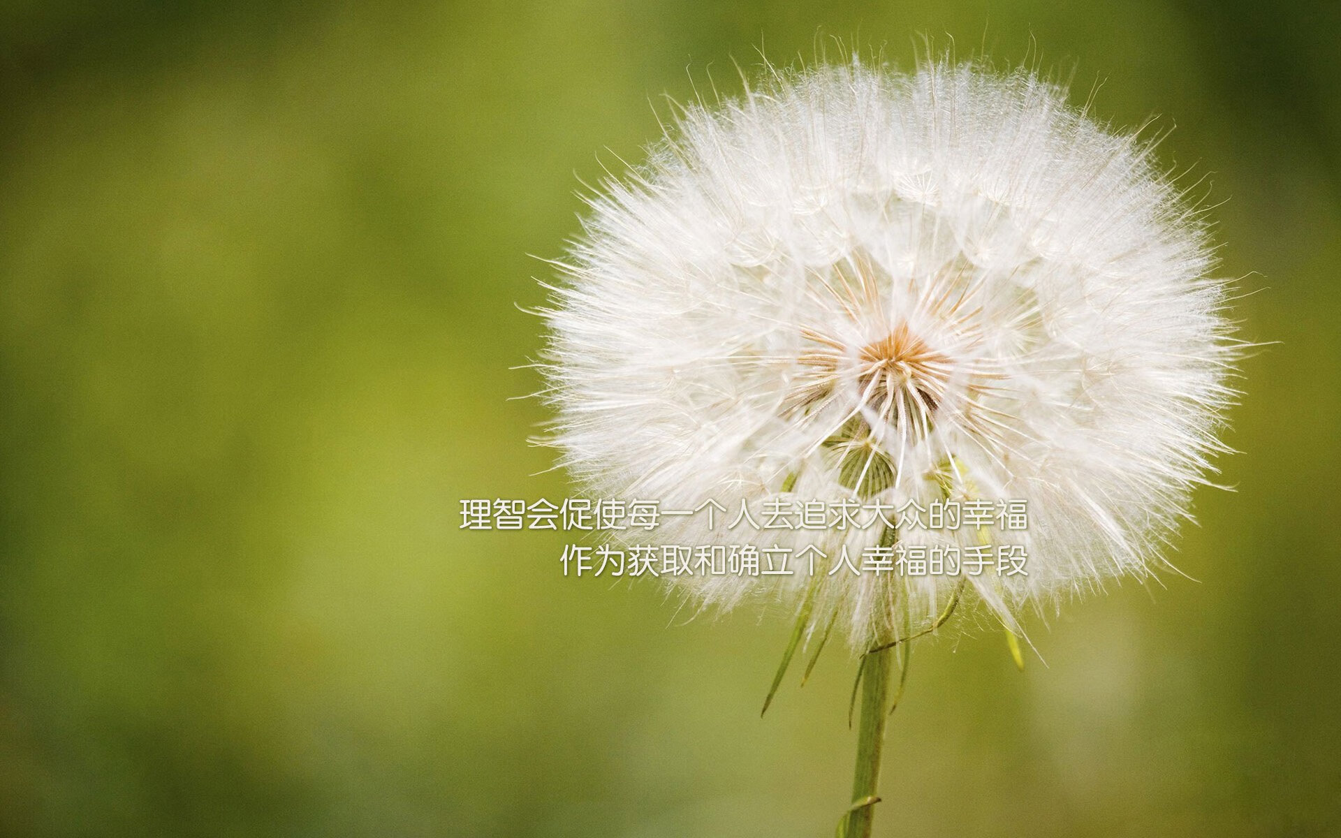 争夺白热化:车手积分榜最新战况