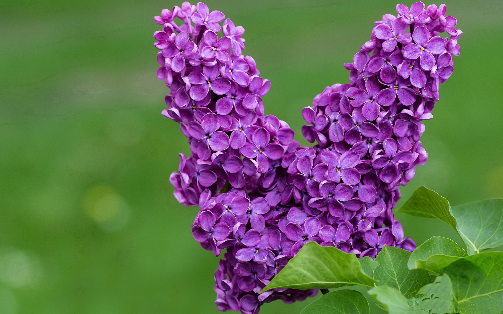 体育产业升级永不停歇,助推中国篮球迈向国际舞台,篮球产业延伸