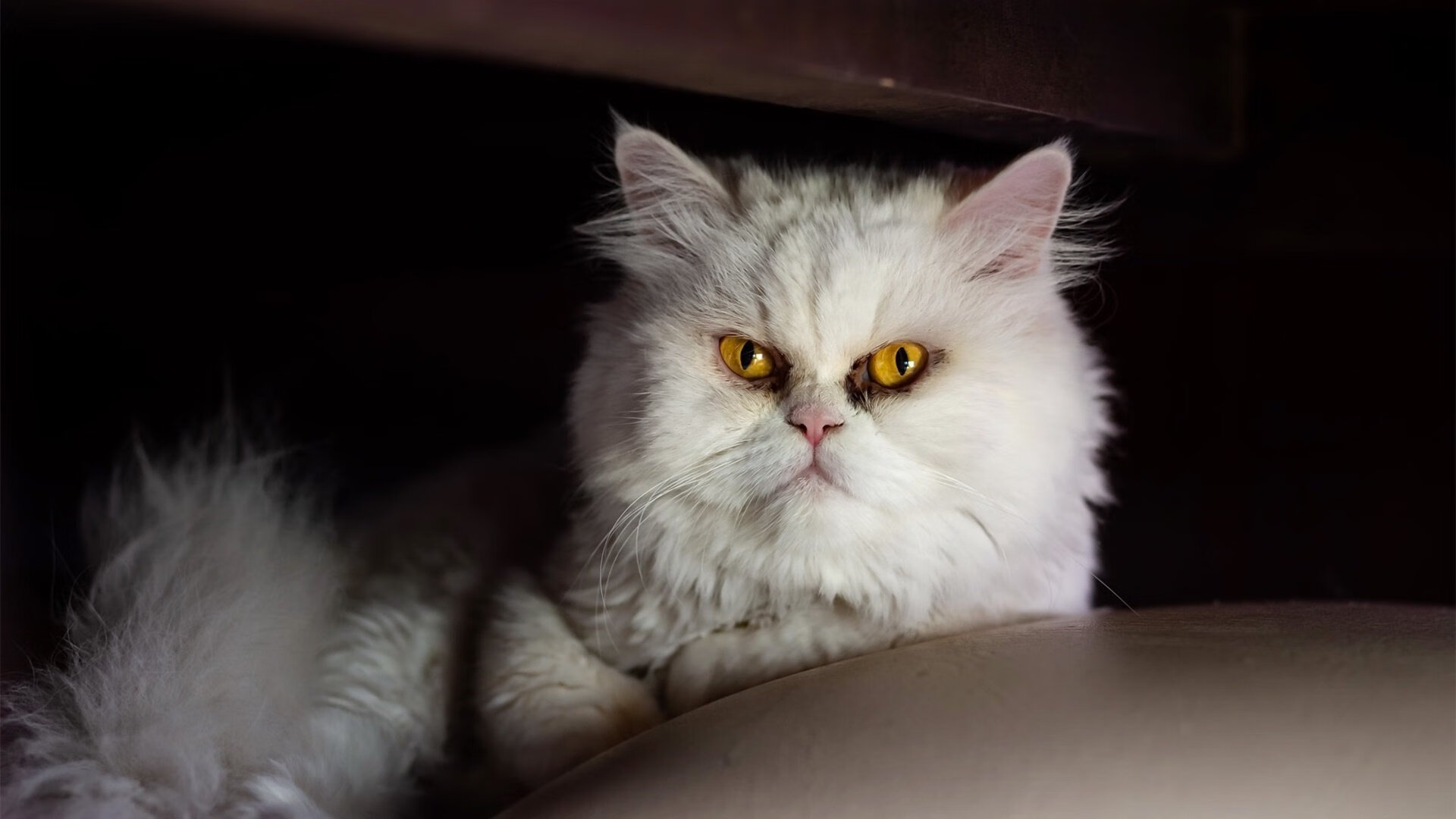 爱游戏 电竞-梅西神锋破门，巴黎逆转战胜皇马，巴黎 梅西进球