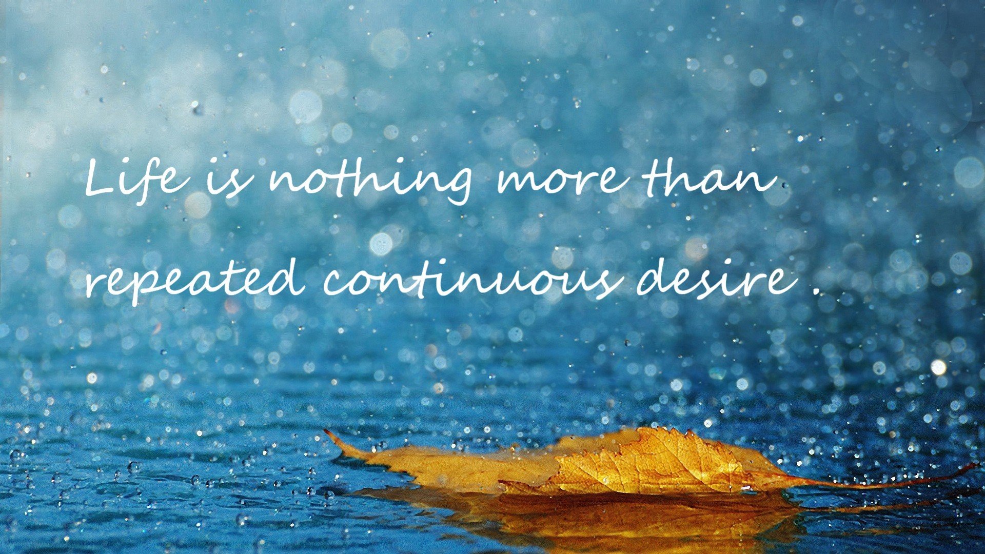 沙尔克球员表现出色,继续保持不败,沙尔克球队身价