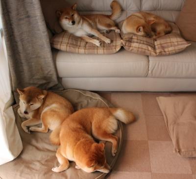 爱游戏娱乐网址-球队备战训练严格，力求在下一场比赛中取胜，篮球队备战训练计划