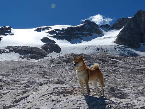 皇马功亏一篑，全队高层紧急开会商讨对策，皇马本轮比赛