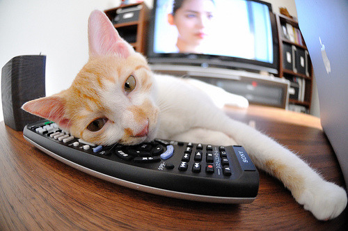 影响力球星：联盟中最具号召力的明星人物，nba最具有影响力的巨星