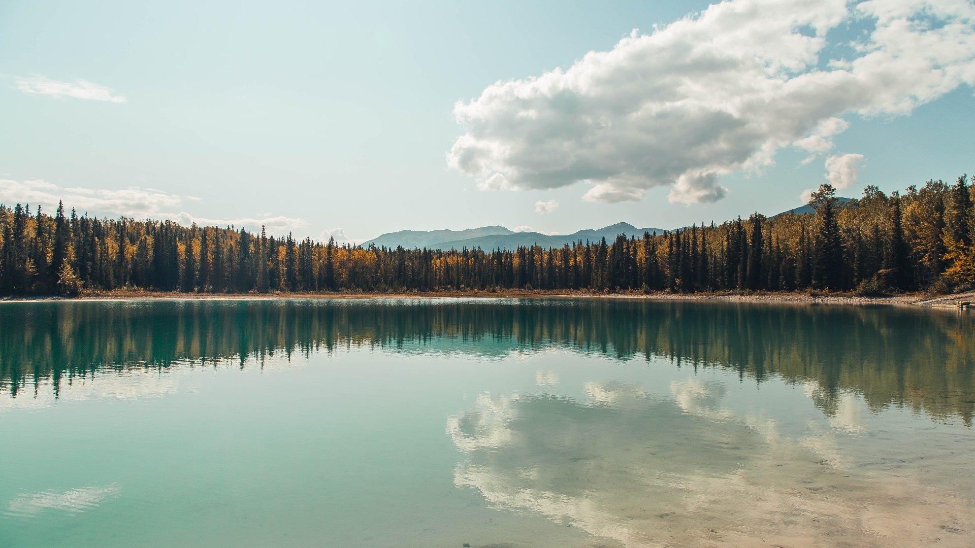 足球运动品牌营销攻势全面,吸引更多粉丝,足球营销案例