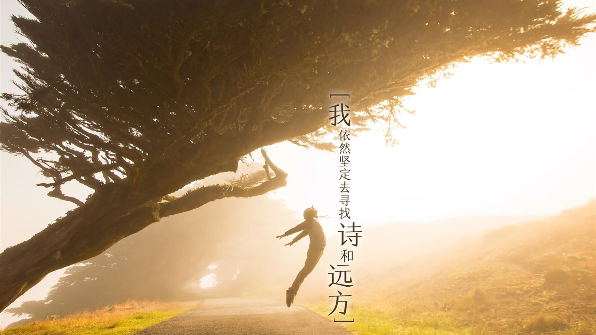 爱游戏体育（AYX）官方APP下载-黄蜂球队进攻多样化进展顺利，黄蜂队主力球员名单