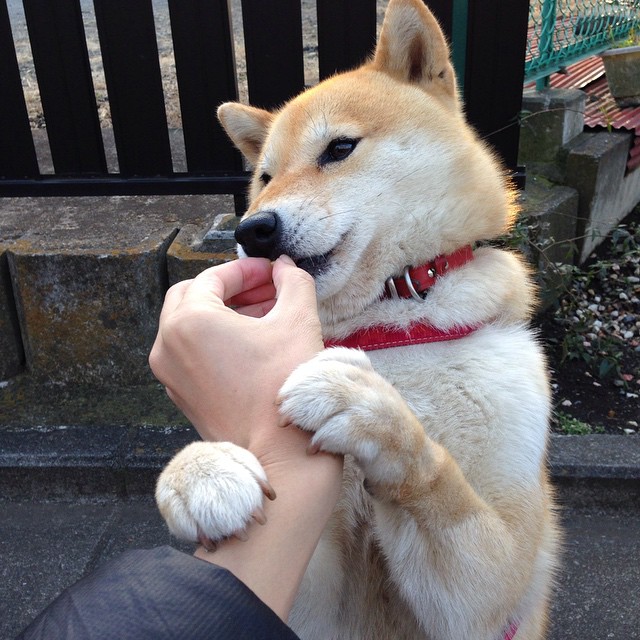 篮板争夺激烈:北京抢下48个篮板,攻守两端都占优!,北京篮球队比赛时间表