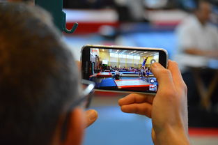 AIYOUXI.COM-中国篮球联赛市场细分与营销研究，篮球联赛介绍