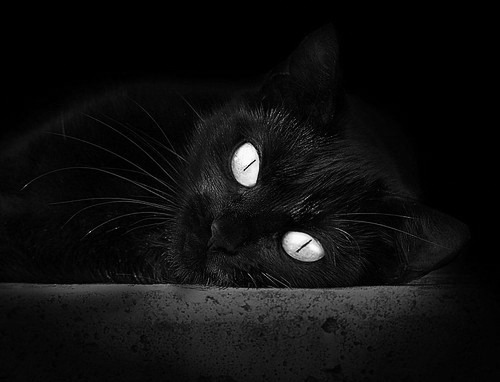 中国篮球青训教练员专业能力提升方案研究,篮球教练员培训管理系统