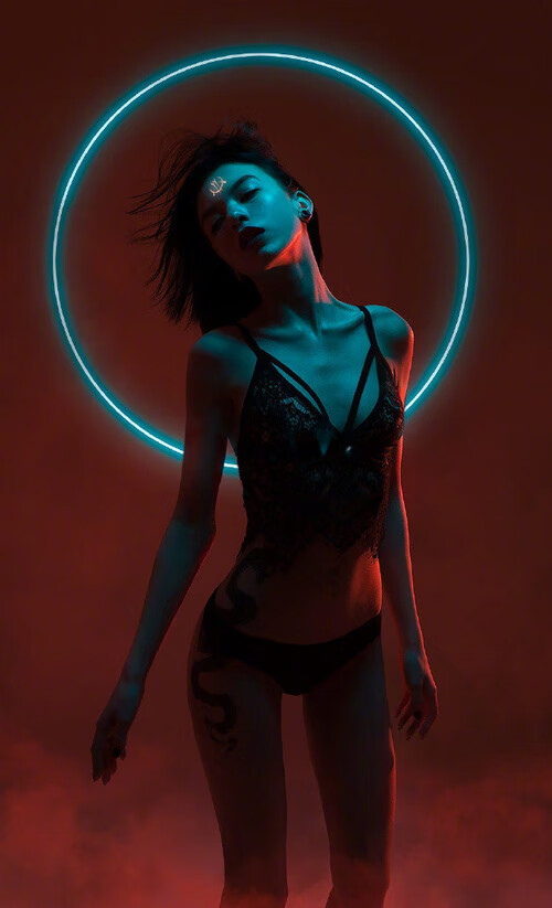 体育教师数字素养提升路径与支持机制分析,小学体育教学数字教育资源的获取