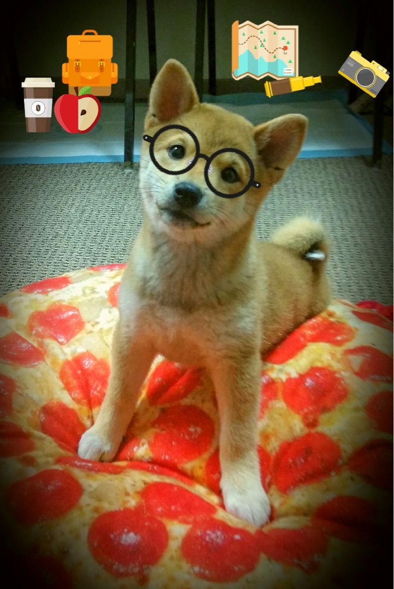 英雄联盟 赛区对抗激烈赛事精彩纷呈,英雄联盟msi2021对抗赛