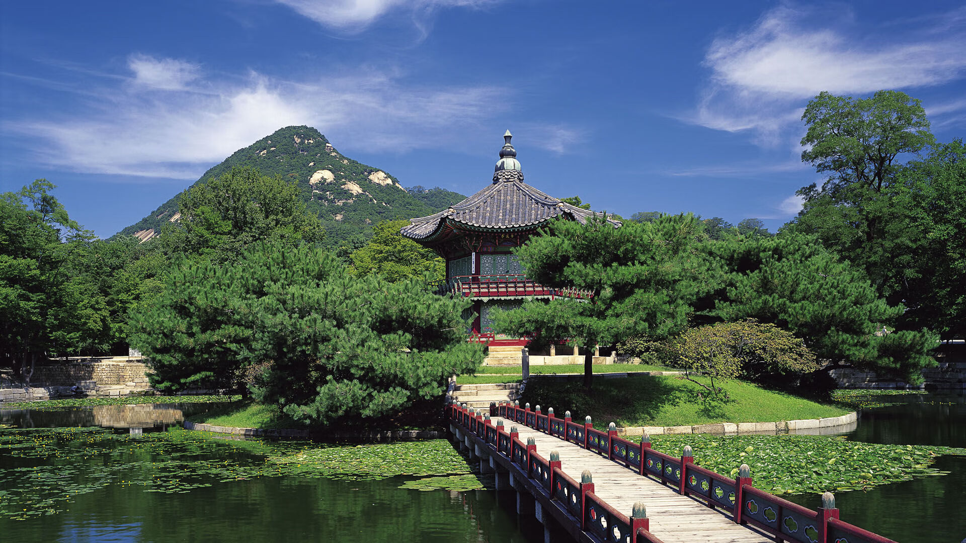 青少年“篮球梦想大集结”在昆明盛大开启,推动青训多元发展,昆明青少年篮球训练营