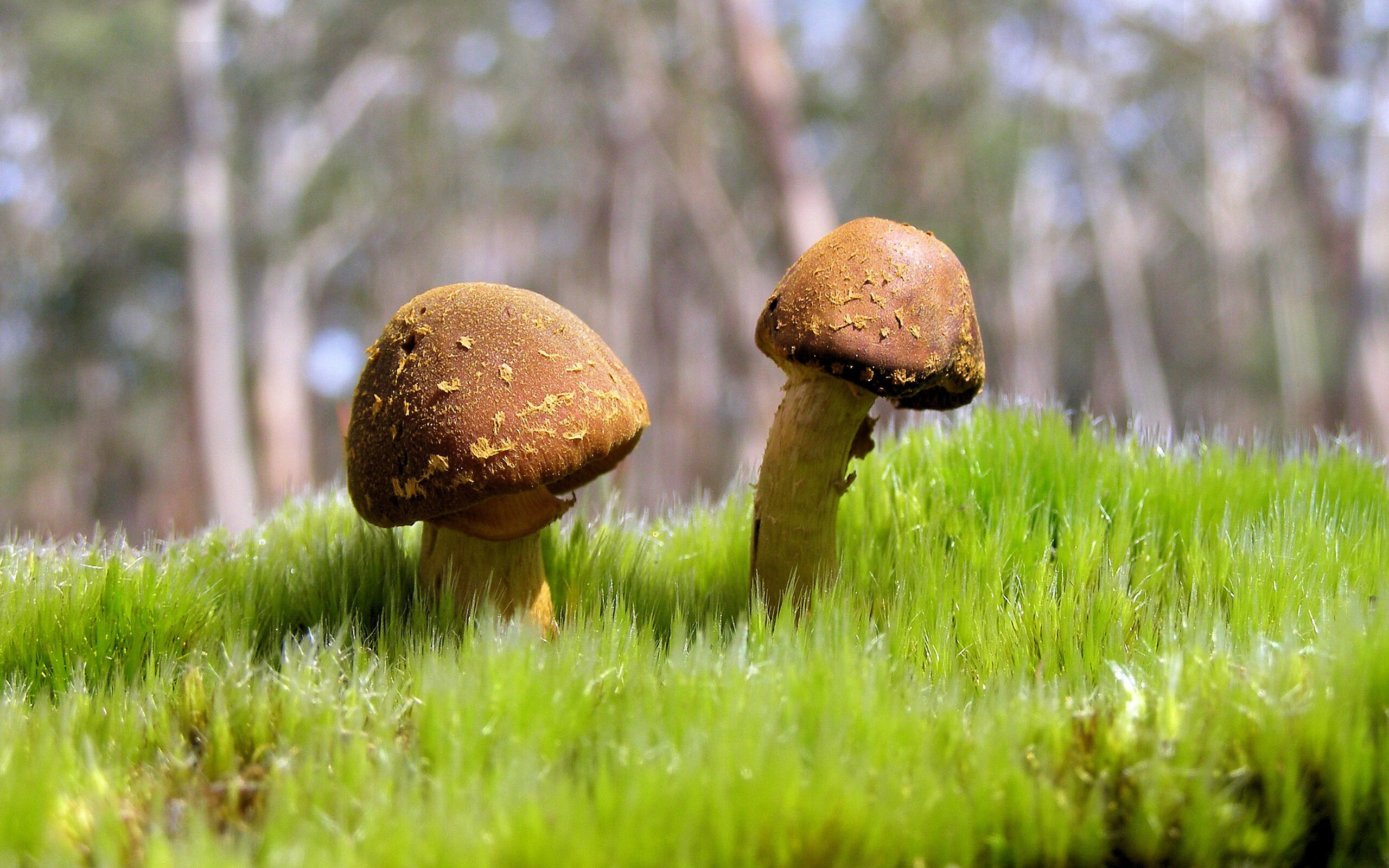 AYXSPORTSAPP-青训体系改革，注重技术与战术结合，青训模式