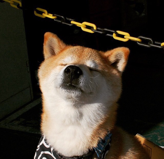 高空绳索攀爬比赛,考验勇气与体能的极致运动,高空绳索攀爬项目