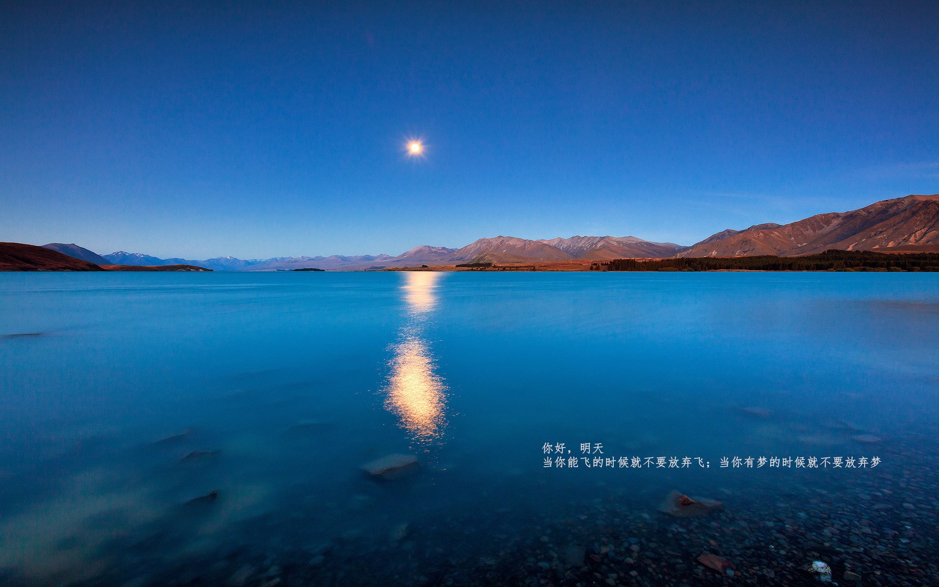 “东桃花岛迎来缆绳滑水赛,极限运动尽显风采”