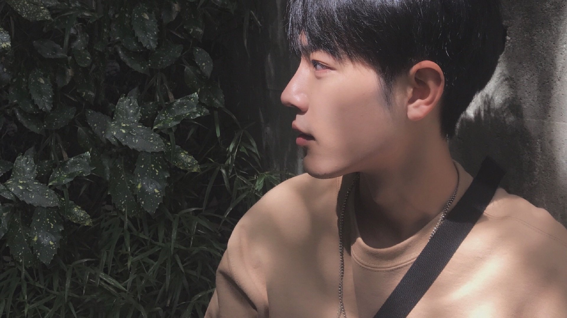 辽宁飞豹球员训练强度加大备战季后赛,辽宁飞豹现役球员