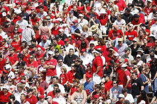 爱游戏官方网站-体育赛事观众行为特征与管理对策，观众对体育赛事的意义