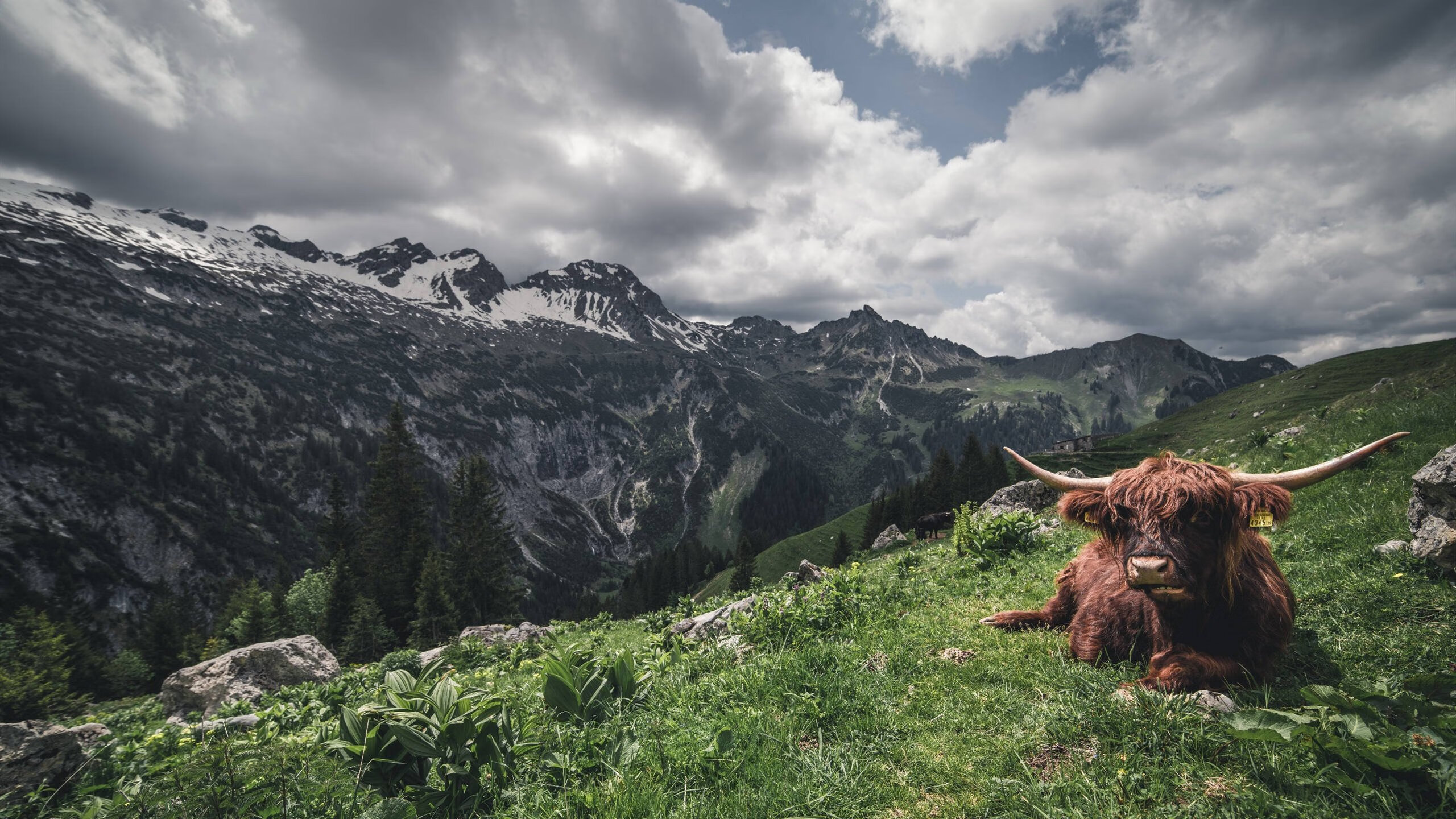 威少展现组织能力助队完成逆转,威少助攻能力