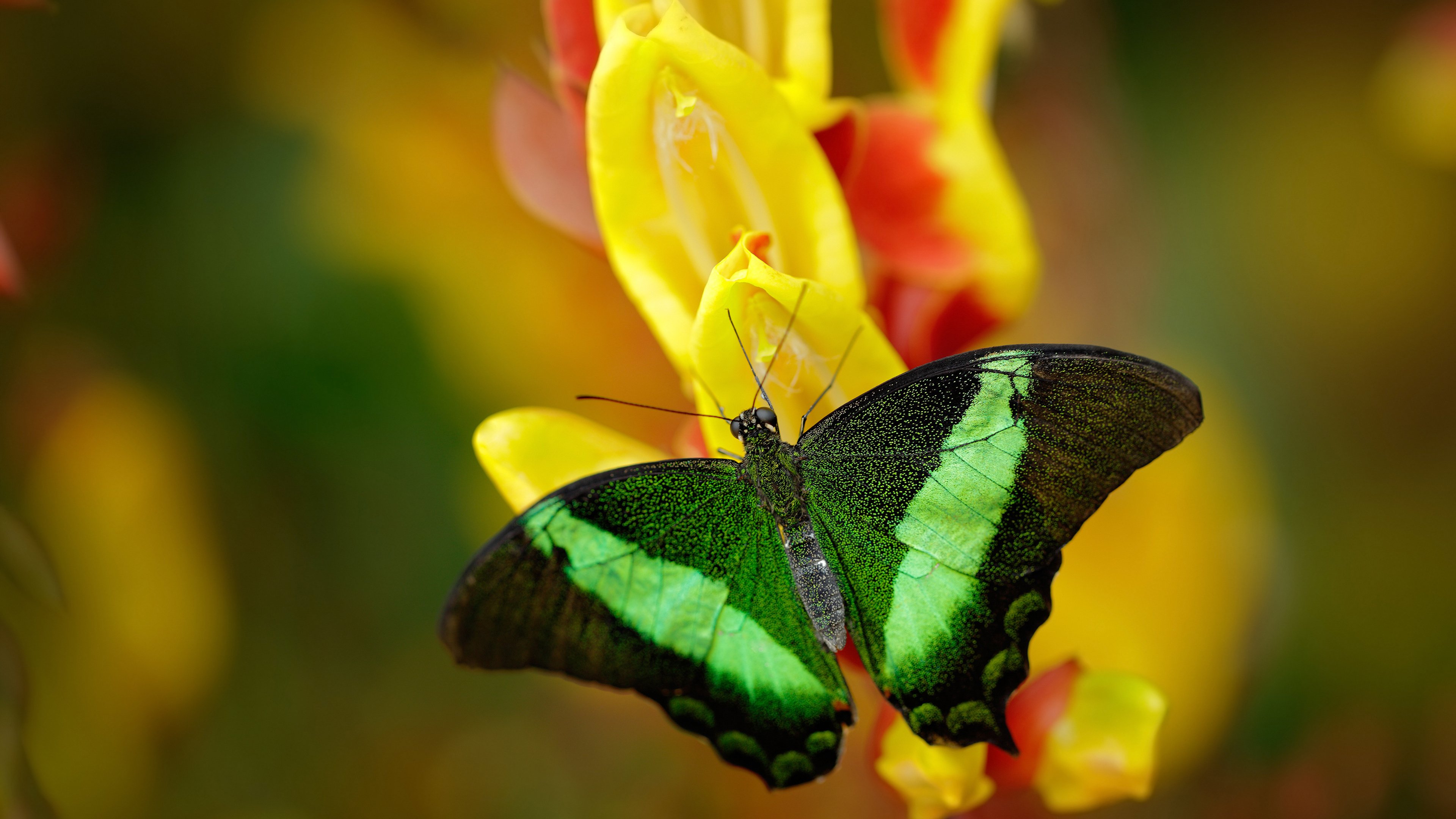 库里赛后称赞队友团结赢下关键比赛,库里鼓励