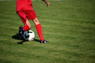 爱游戏体育APP下载-意甲青训体系中融入情绪调节训练的效果评估，意甲青训体系中融入情绪调节训练的效果评估