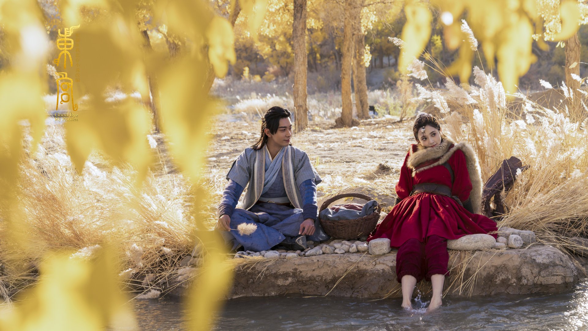 沃尔什再破记录引爆社媒热搜,沃尔什么