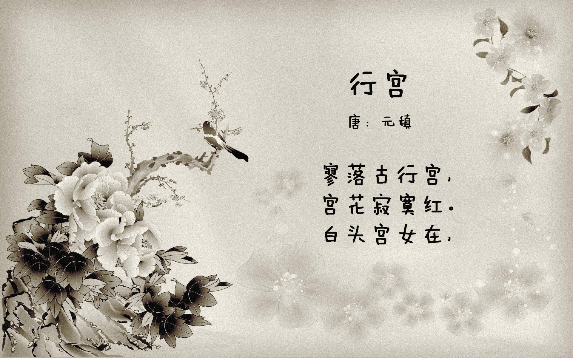 牙买加男篮在加勒比海区赛事中夺冠，体育文化快速发展