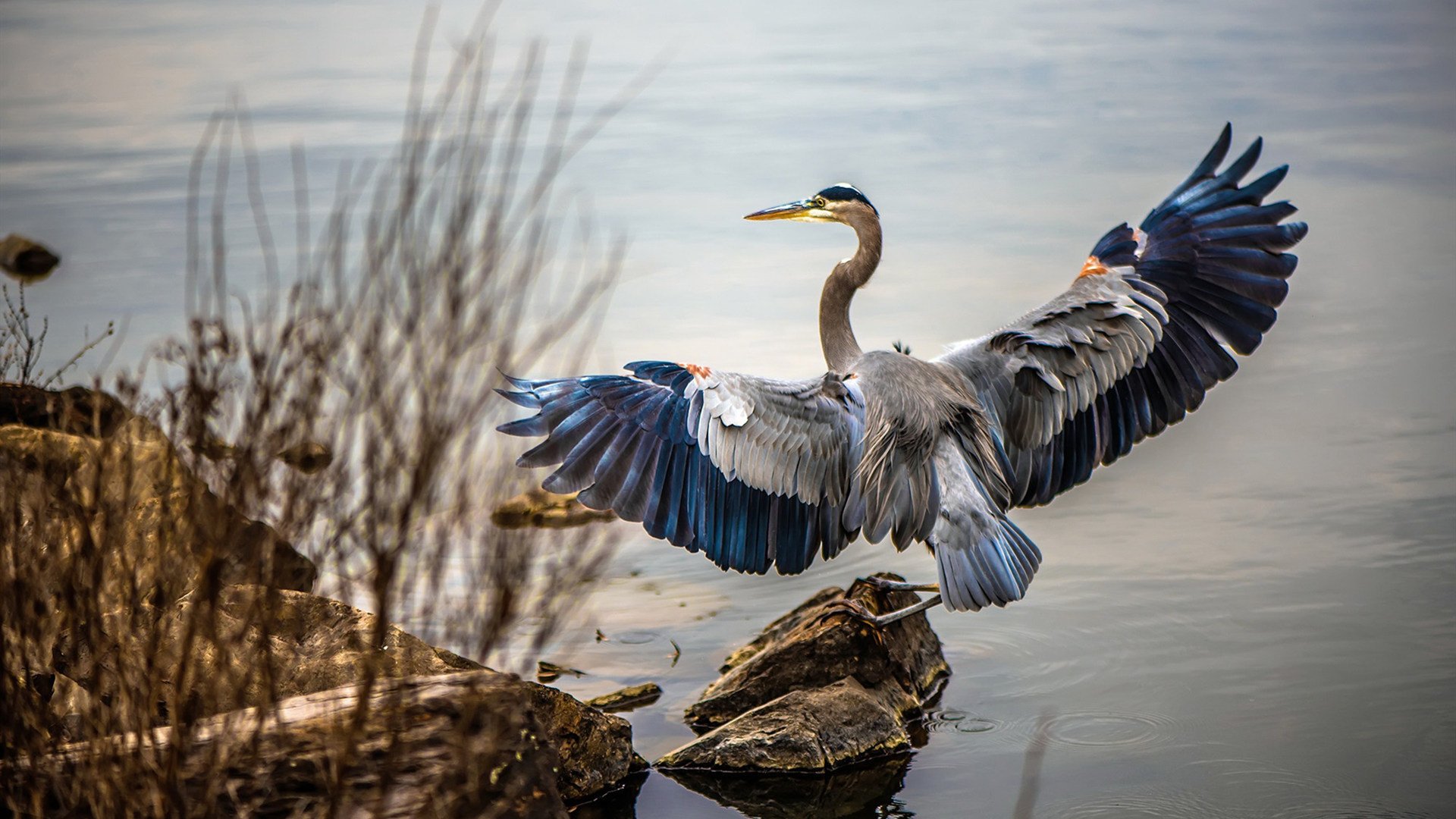 爱游戏中国官方网站平台-职业联赛采用综合评分机制评估教练执教能力，职业联赛教练干啥的