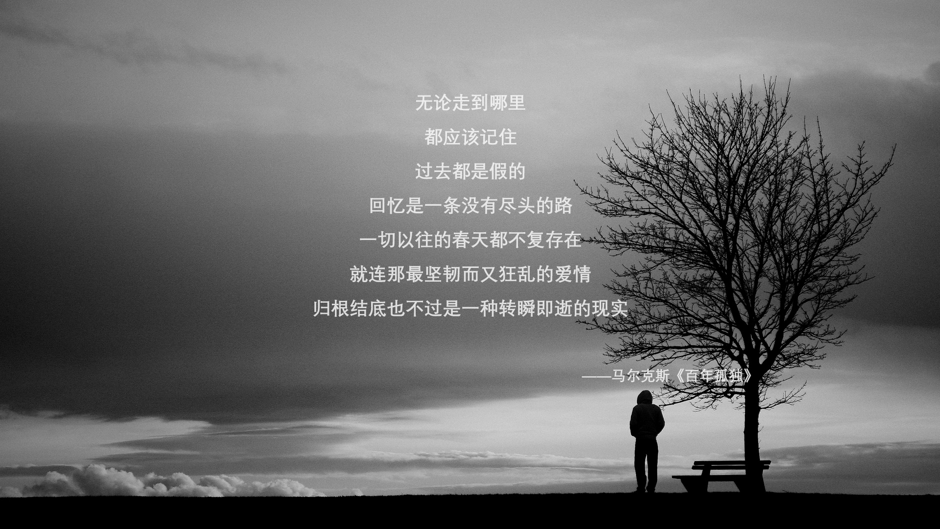 青少年体育竞赛组织管理方案,青少年体育竞训工作