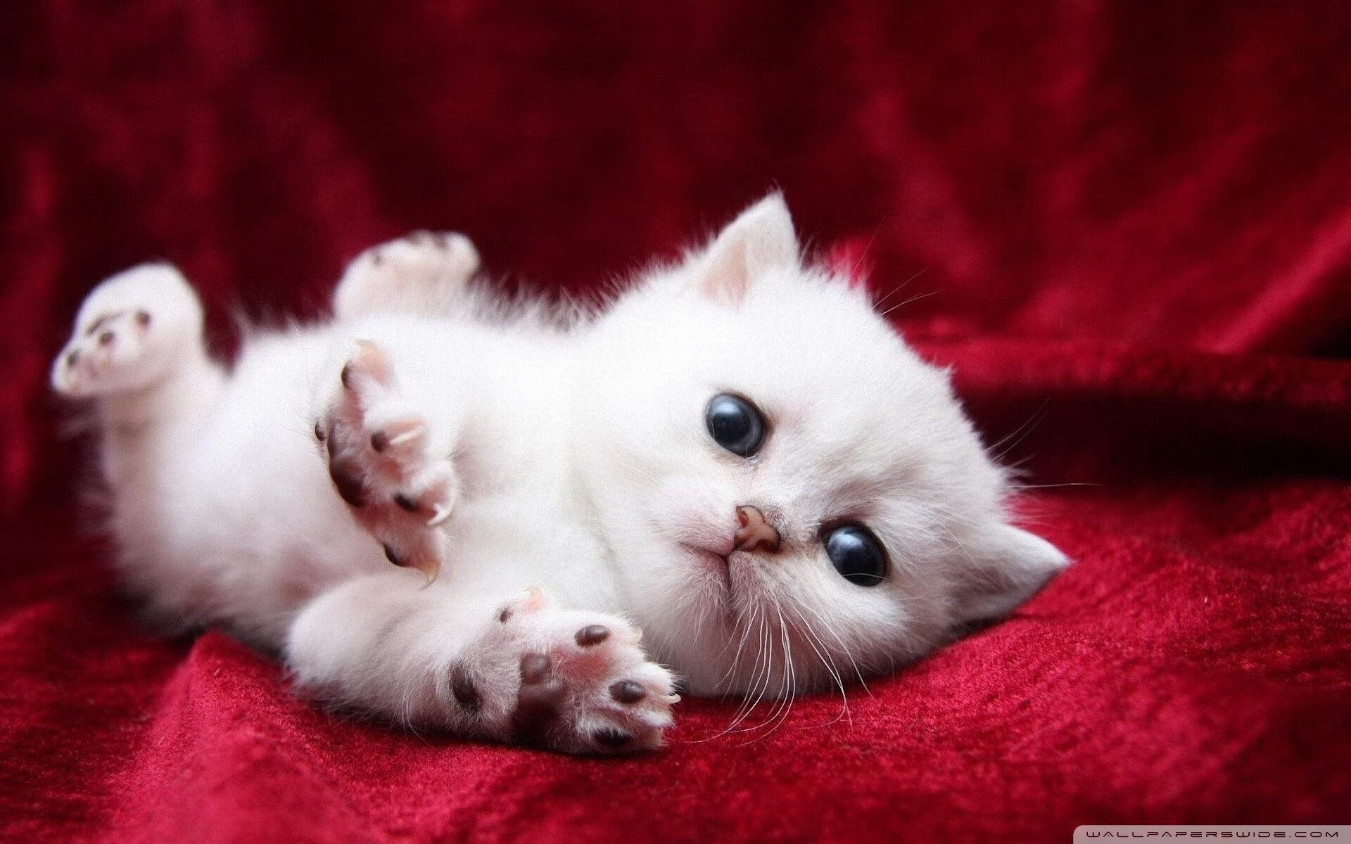 CBA裁判判罚引争议联盟回应提升执法标准,cba裁判判罚规则