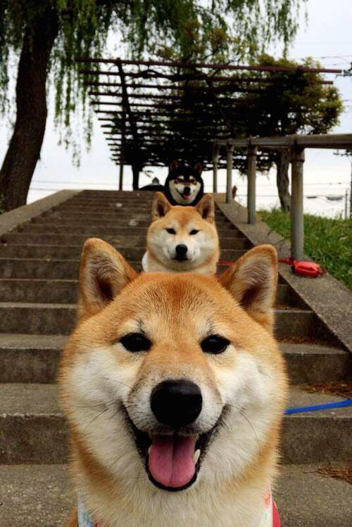 爱游戏在线娱乐官网-中国三人篮球男队攻势凌厉 多次打出精彩进攻，中国三人篮球男篮